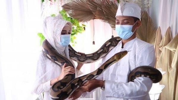 Pecinta Reptil di Bogor Nikah Maskawin Ular