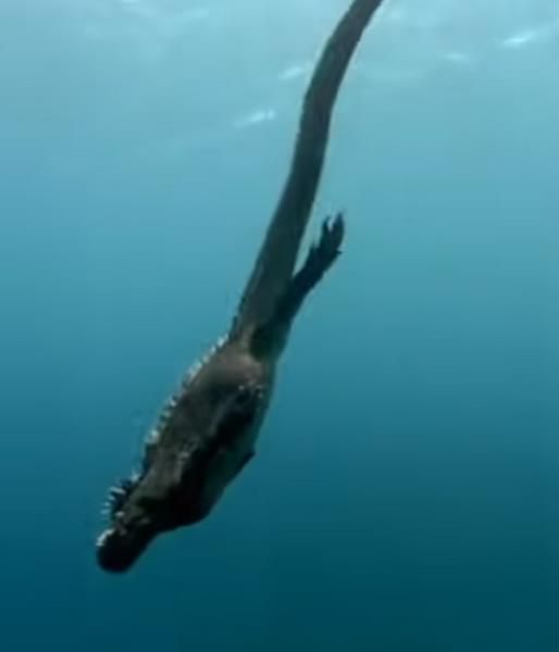 Cakar Tajam dan Wajah Seram Diduga Anak Godzilla