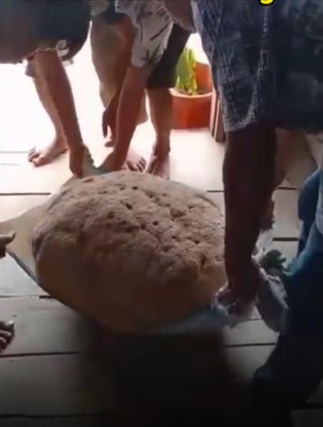 Batu Ajaib Seberat 100 Kg Tetap Bisa Mengapung 