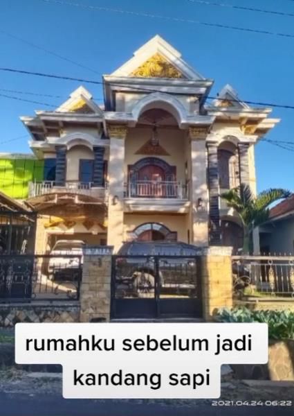 Rumah Mewah Bak Istana Berubah Jadi Kandang Sapi