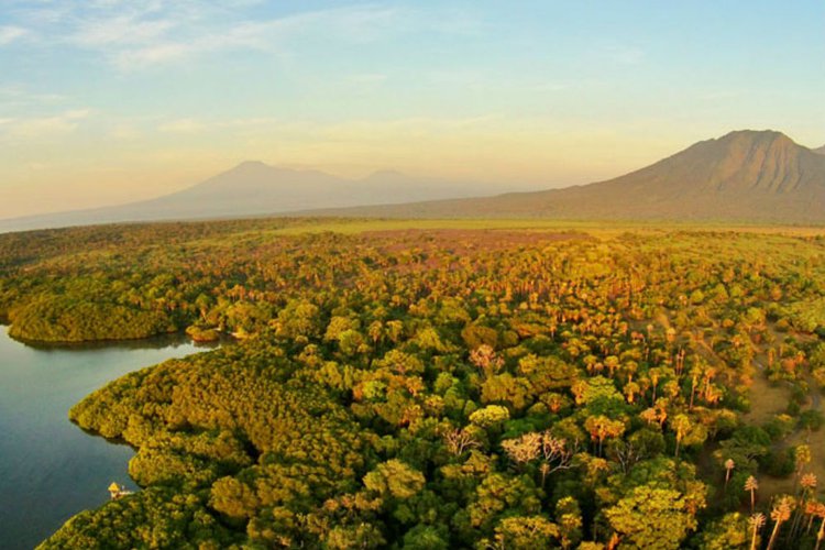 Merasakan Jawa Rasa Afrika Di Baluran Traveldreamcoid