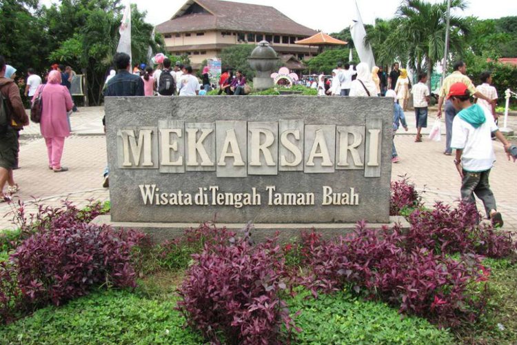 Ada Yang Spesial Di Taman Buah Mekarsari Selama Libur