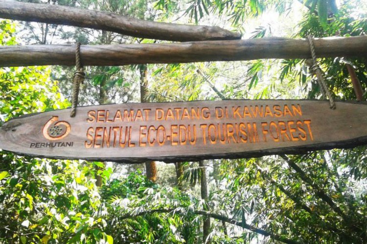 Wisata Hutan Sentul Disiapkan Jadi Taman Hiburan Kelas Dunia