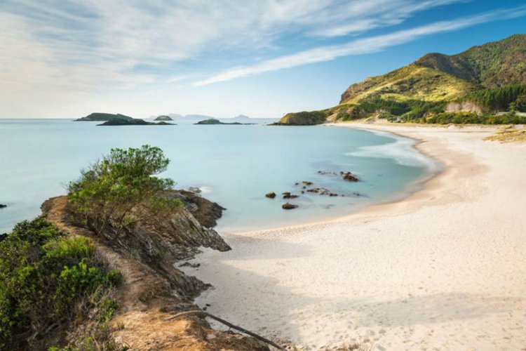 8 Pantai Cantik Di Selandia Baru Ini Siap Bikin Kamu