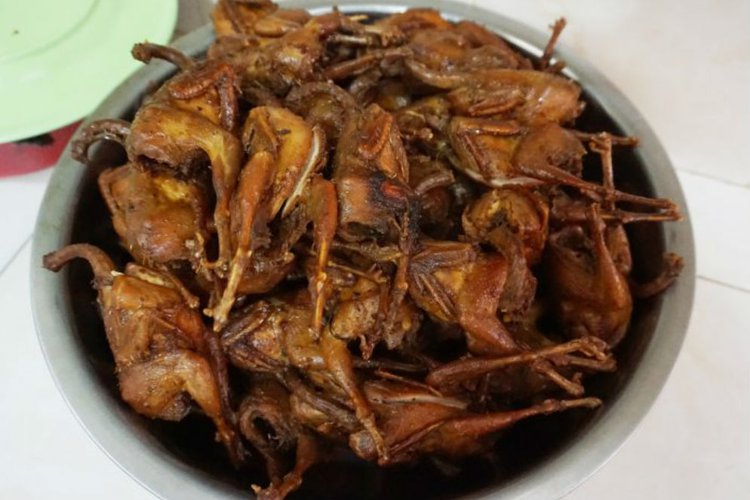 44+ Daging burung dara goreng terbaru