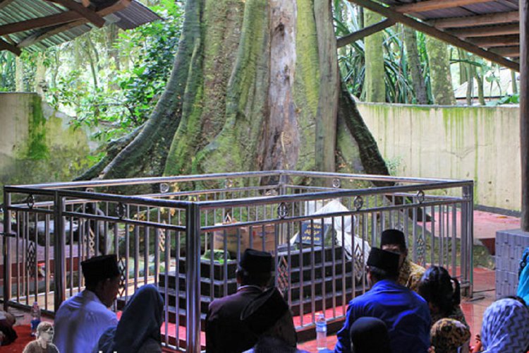 40+ Koleski Terbaik Pohon Jati Tempat Wisata Di Tanggerang