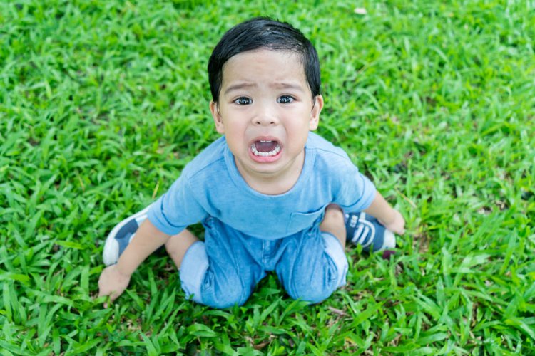 Anak yang Sering Tantrum Cenderung Lebih Sukses