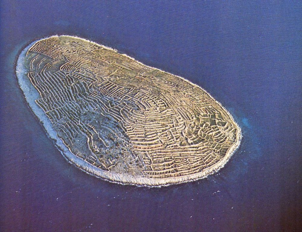 pulau sidik jari raksasa