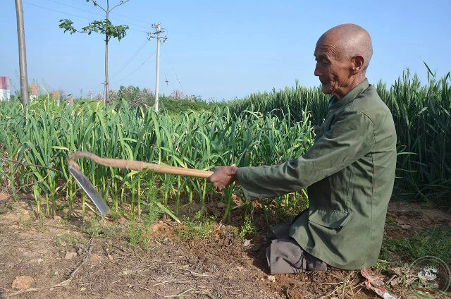 Petani tanpa kaki