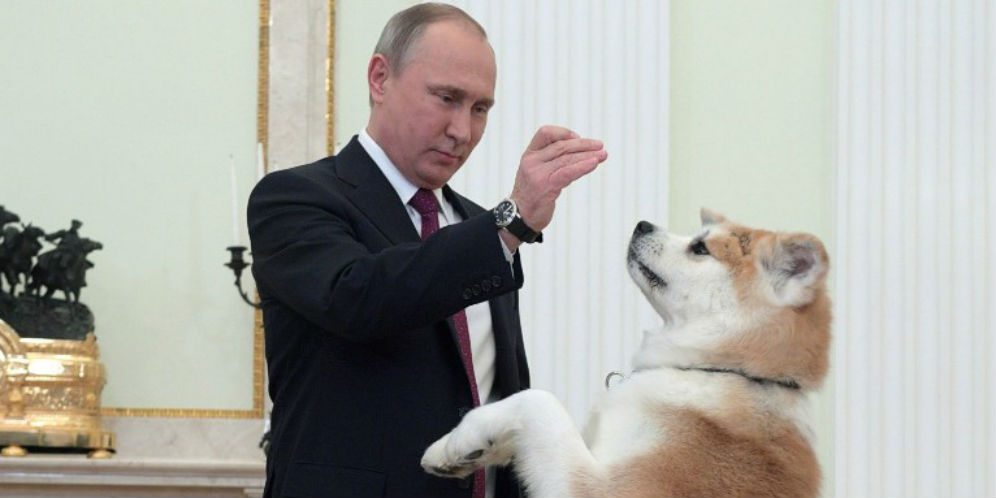Putin dan anjingnya, Yume