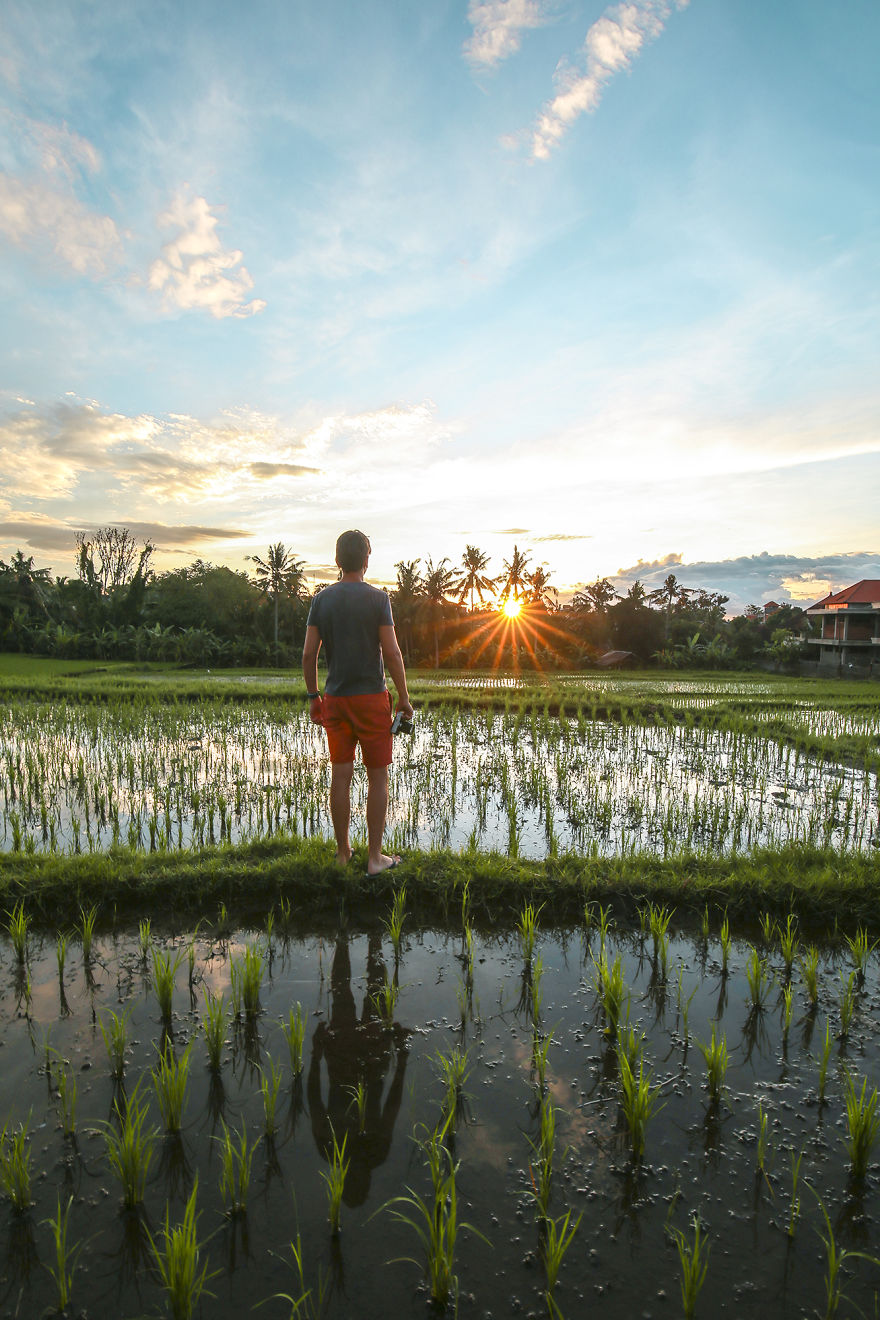 Indahnya Sawah Terasering Di Bali Bikin Para Turis Jatuh Hati