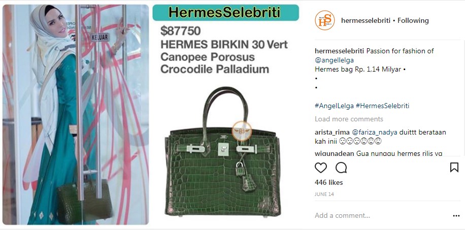 Hermes Selebritis