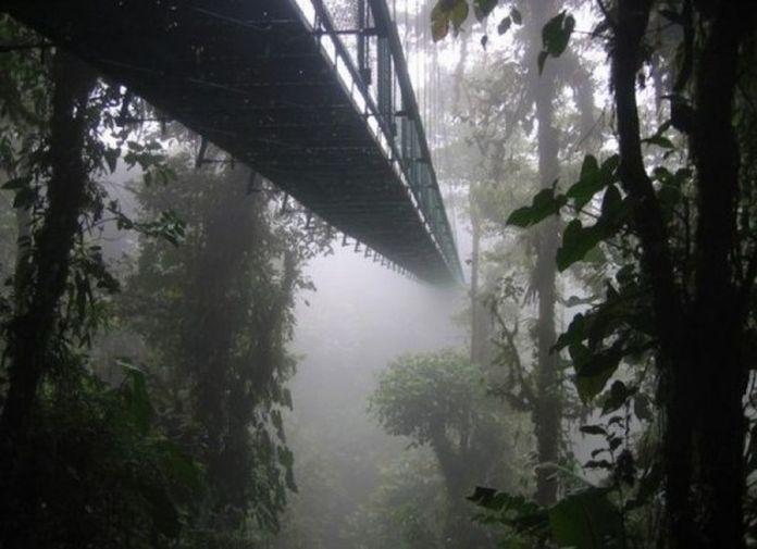 Jembatan paling menakutkan di dunia