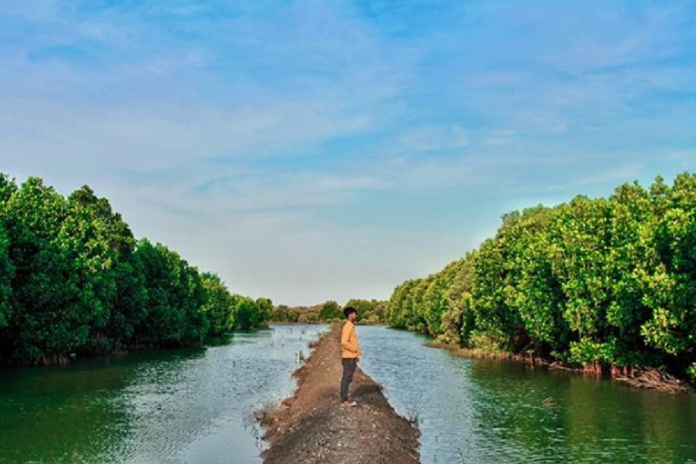 Hutan Mangrove Bekasi