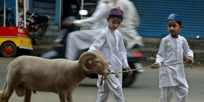 Amalan Bulan Dzulhijjah Menyembelih Hewan Kurban