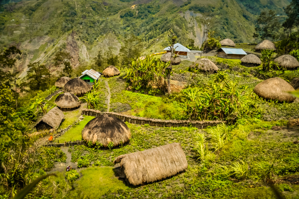 Alam Papua
