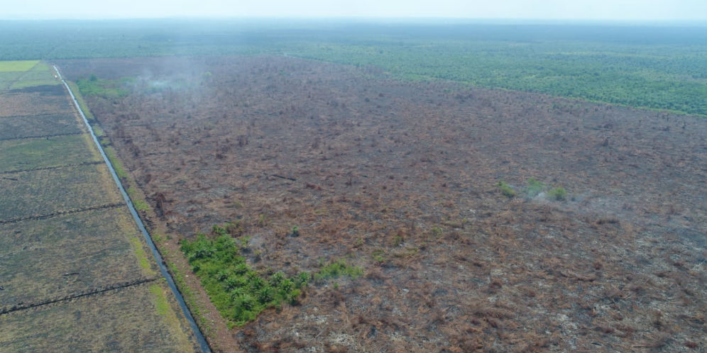 Kondisi lahan yang terancam kebakaran hutan