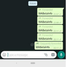 Pembaruan WhatsApp (Foto: WABetaInfo)