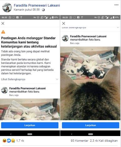 Unggahan kucing yang dilarang tayang Facebook (Foto: Faradilla Prameswari Laksani)
