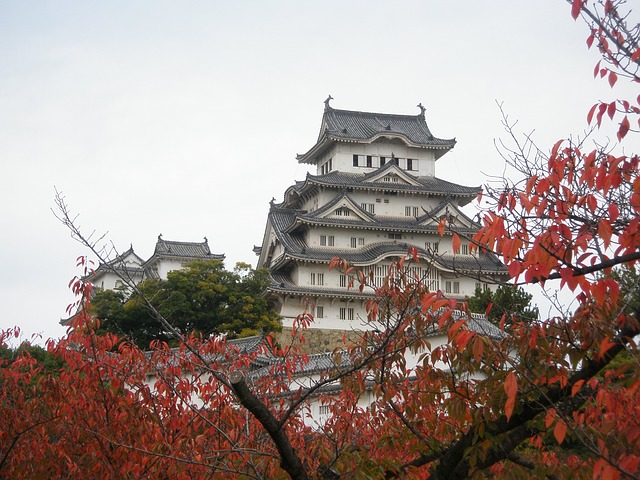 Destinasi Wisata Jepang yang Wajib Dikunjungi