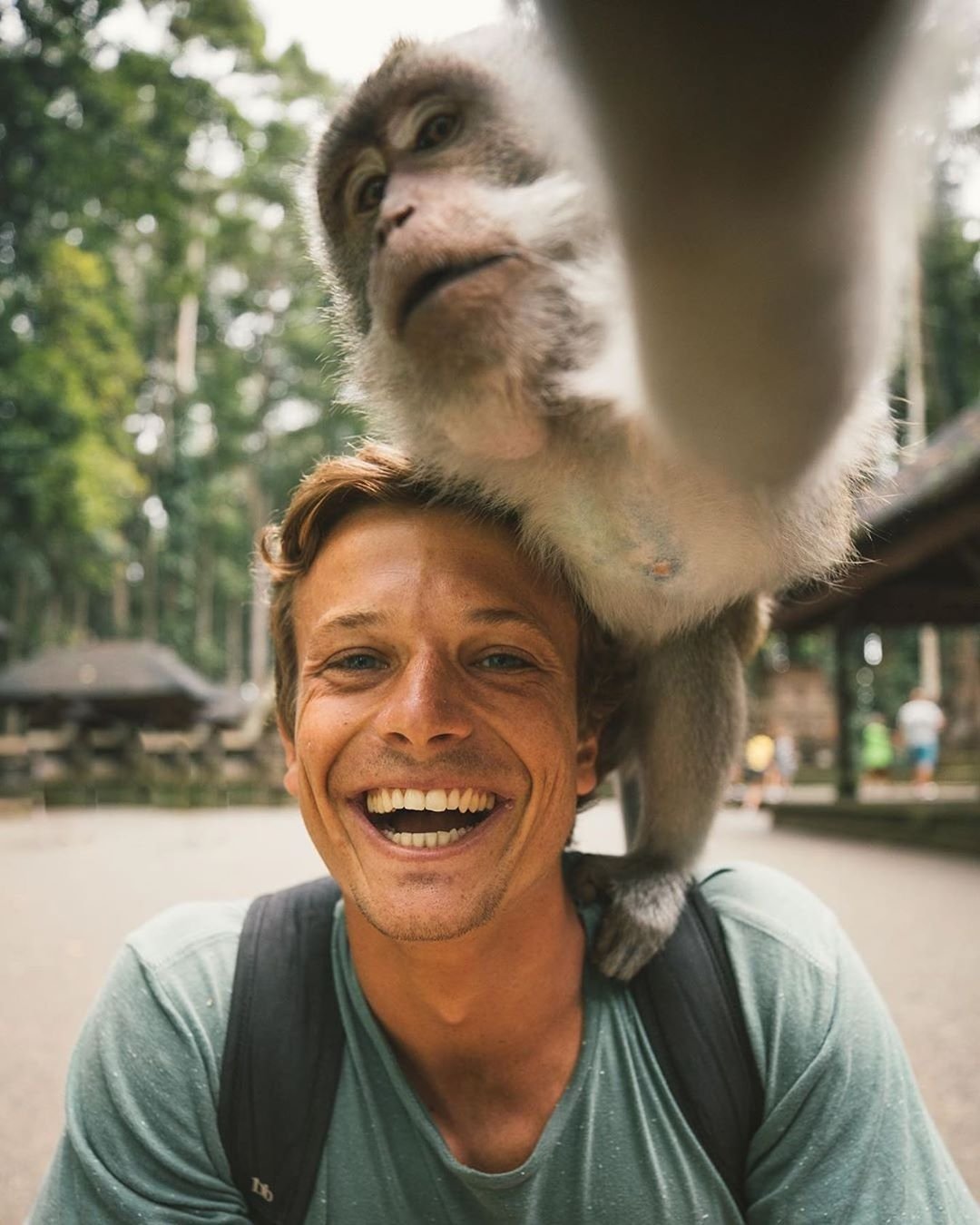 Trik Selfie Monyet di Bali