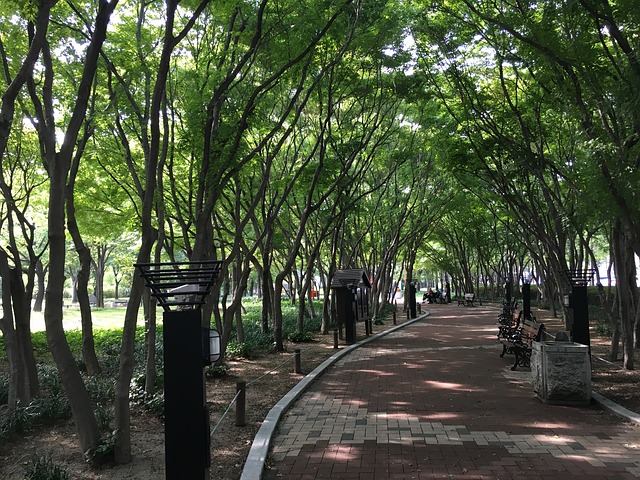 Taman di Daegu