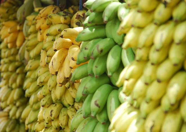 6 Manfaat Buah Pisang Mentah Bagi Kesehatan Tubuh