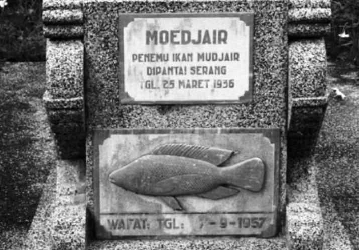 Ikan Mujair