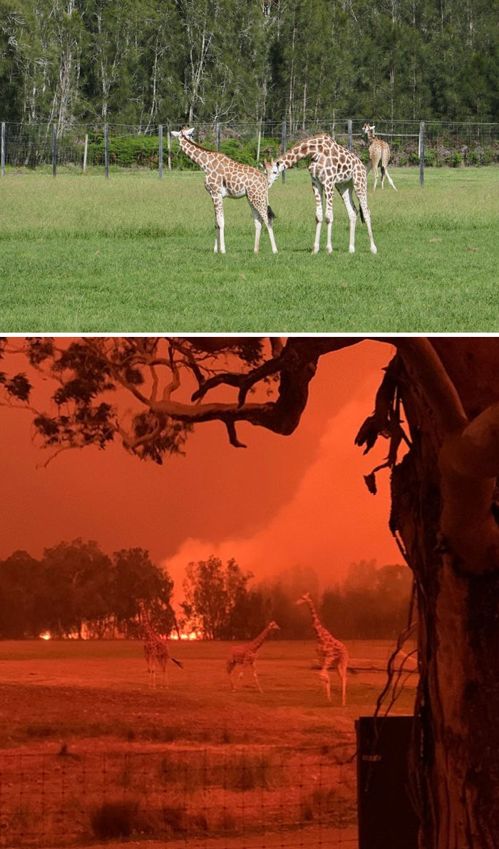 Kebakaran Australia