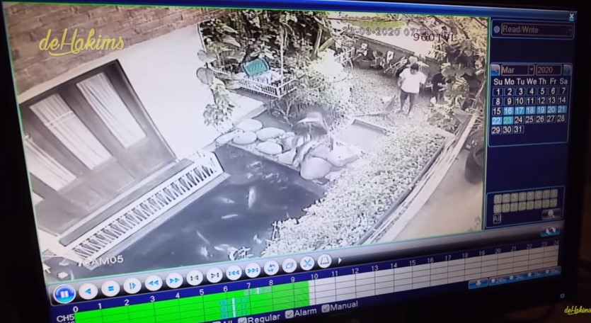 cctv ikan Irfan hakim