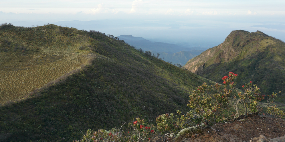 Puncak Lawu