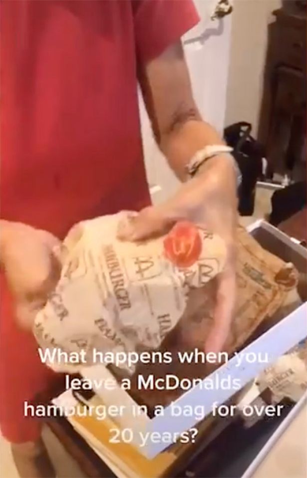 Video Tiktok hamburger berusia 24 tahun