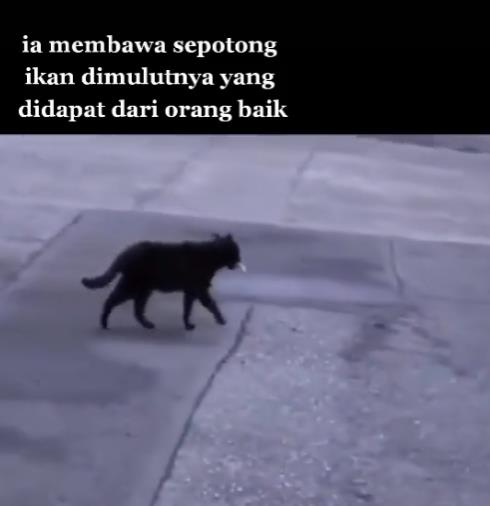 Kucing hitam itu menyeberang jalan dengan langkah tergesa.