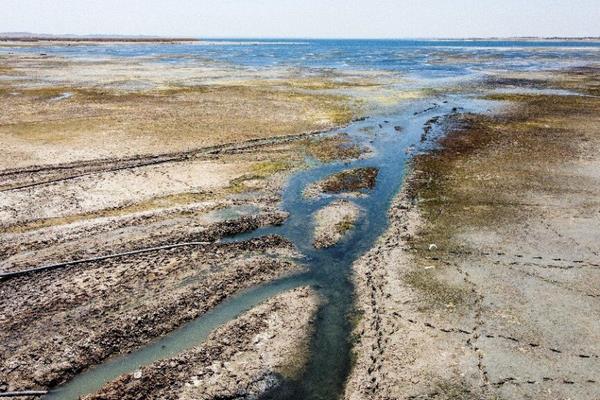 Air Sungai Efrat di Suriah dilaporkan semakin kering akibat kemarau.