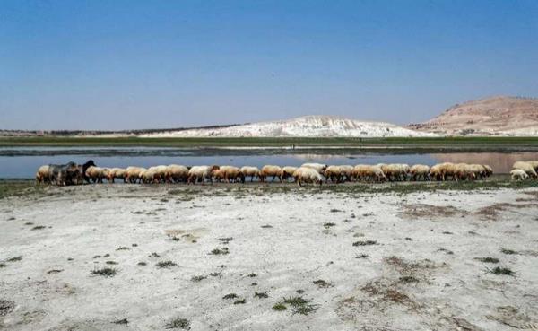 Air Sungai Efrat di Suriah dilaporkan semakin kering akibat kemarau.