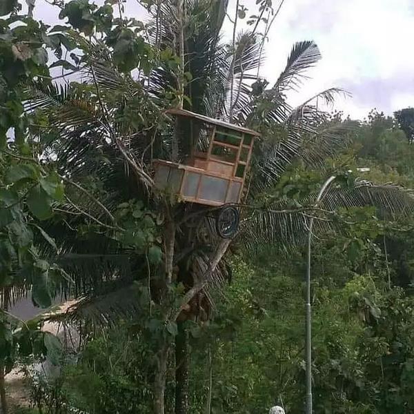 Deretan foto absurd kendaraan tersangkut di lokasi tak lazim.