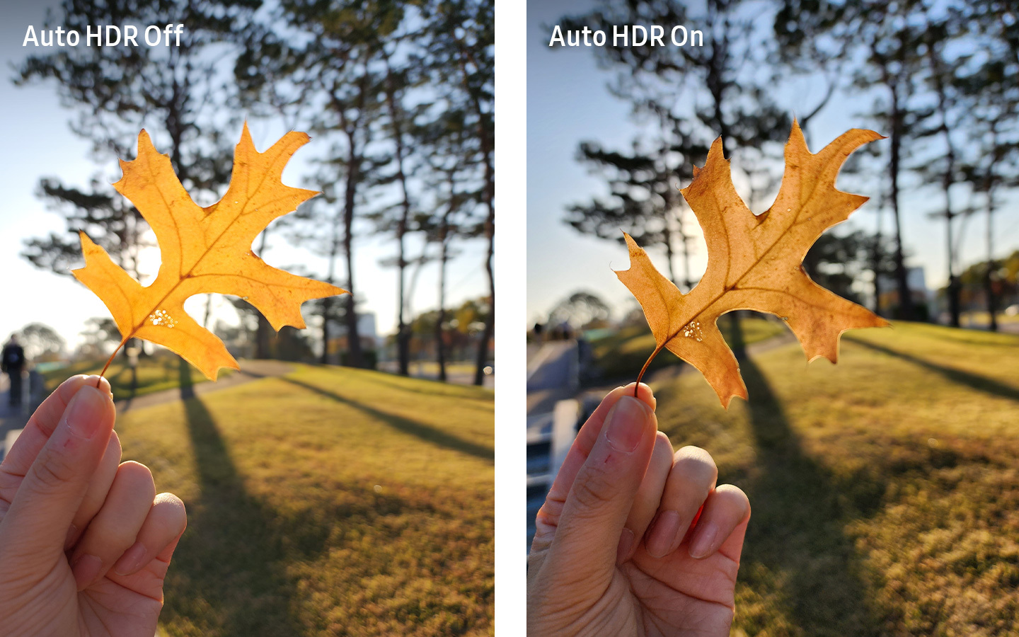 Membuat hasil foto terlihat lebih real dengan mematikan fitur HDR  menggunakan aplikasi Camera Assistant