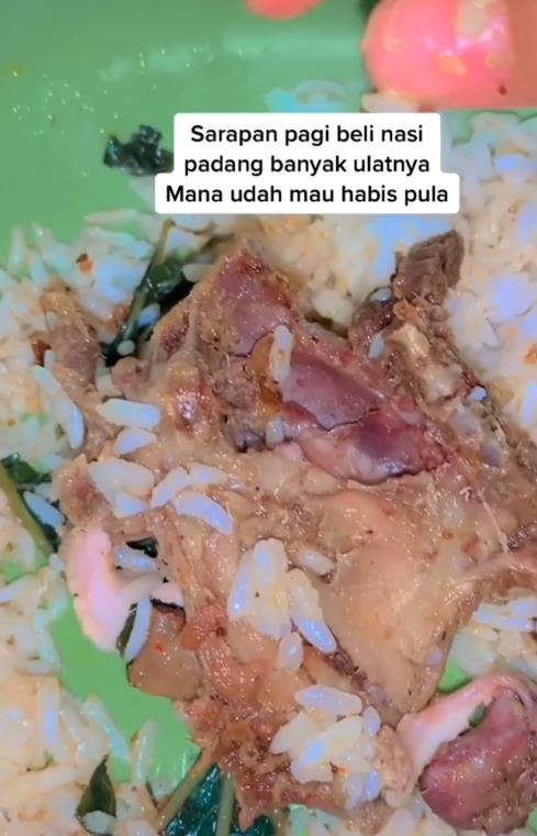 Breakfast with Nasi Padang, only to find maggots in the chicken side dish.