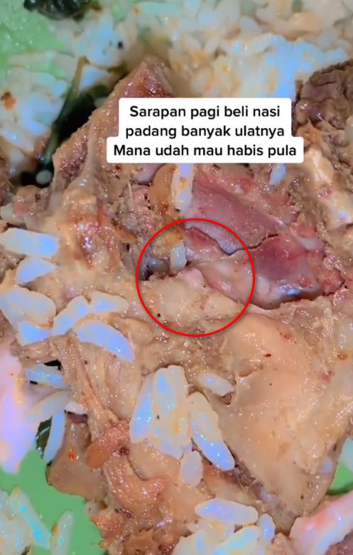 Breakfast with Nasi Padang, only to find maggots in the chicken side dish.