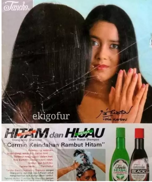 Portrait of Lydia Kandou as a shampoo advertisement