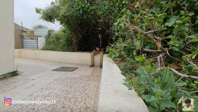 Hundreds of Years Old, Apparently This Lush Fig Tree Once Became the Support of the Prophet