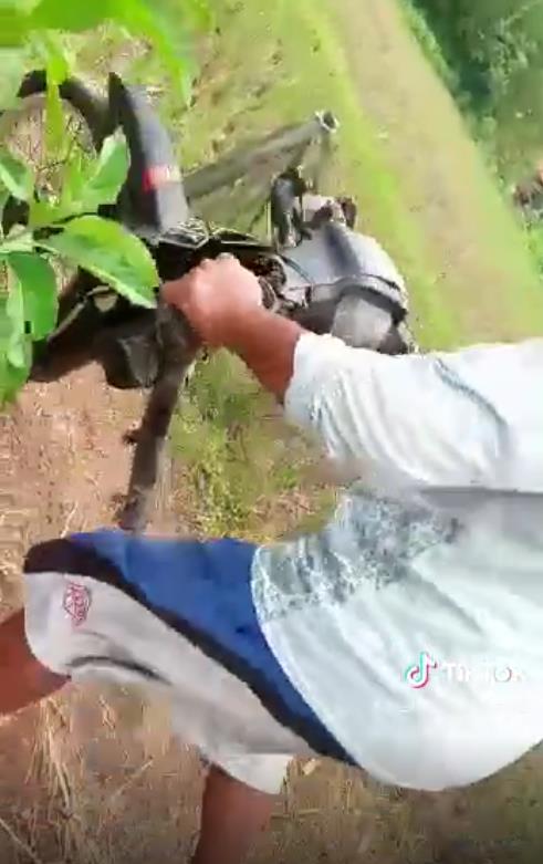 Unlucky, motorcycle breaks into two near the rice field.