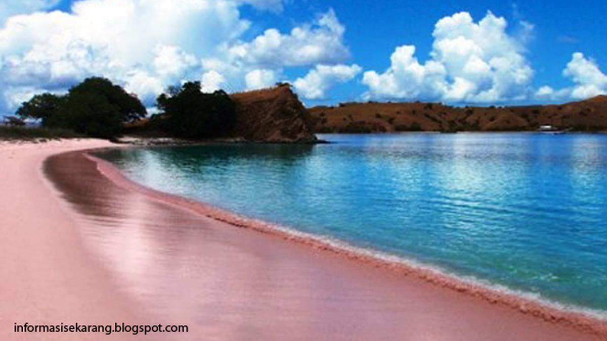 Pink Beach Lombok, Indonesia