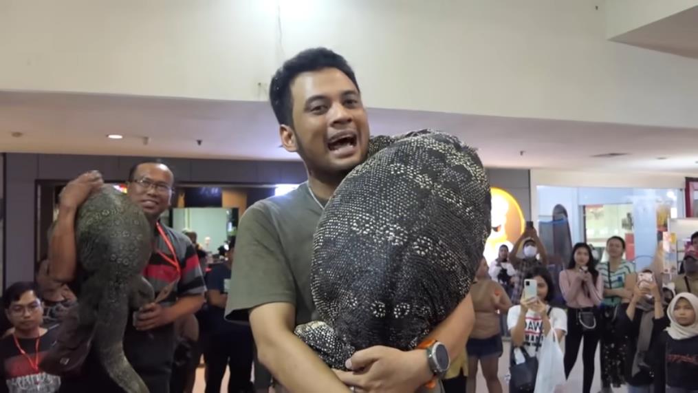 Panji Petualang carries a giant monitor lizard resembling a komodo.
