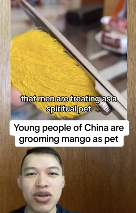 Caring for Mango