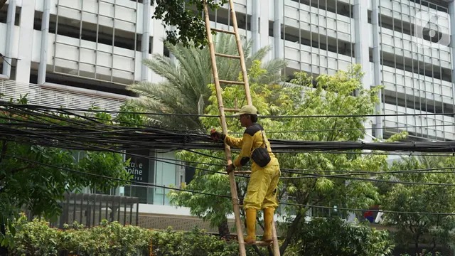 Facts about Students Trapped in Optical Cable Until Unable to Speak