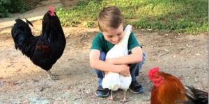 Seekor Ayam Pastikan Anak Ini Temannya Sebelum Berpelukan