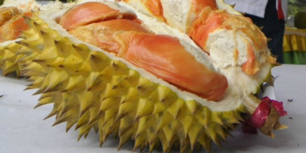 Download 7100 Koleksi Gambar Durian Matang Terbaik HD