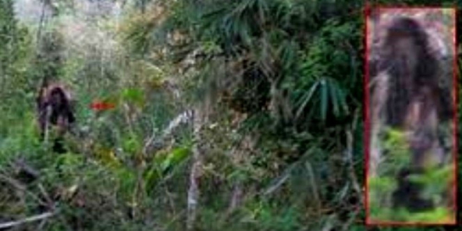 5 Hantu Kalimantan yang Bikin Warga Ketakutan  Dream.co.id