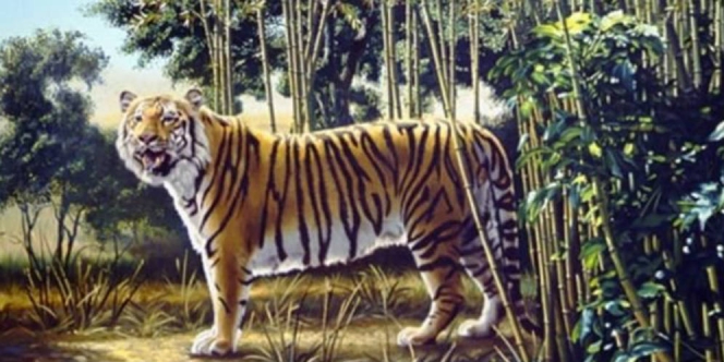 Ada 2 Harimau di Gambar Ini Satunya Tersembunyi Dream co id